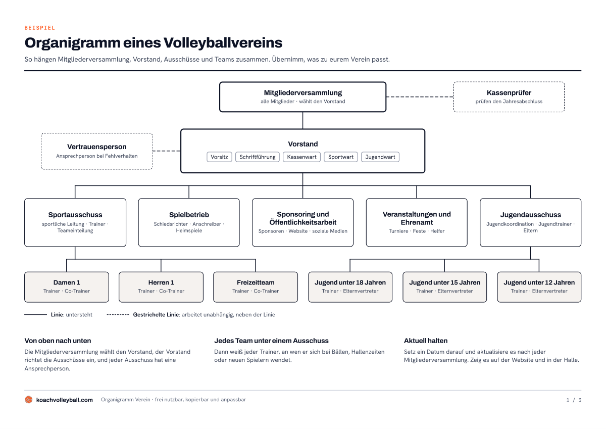 Beispiel für das Organigramm eines Volleyballvereins: Mitgliederversammlung, Vorstand, fünf Ausschüsse und sechs Teams