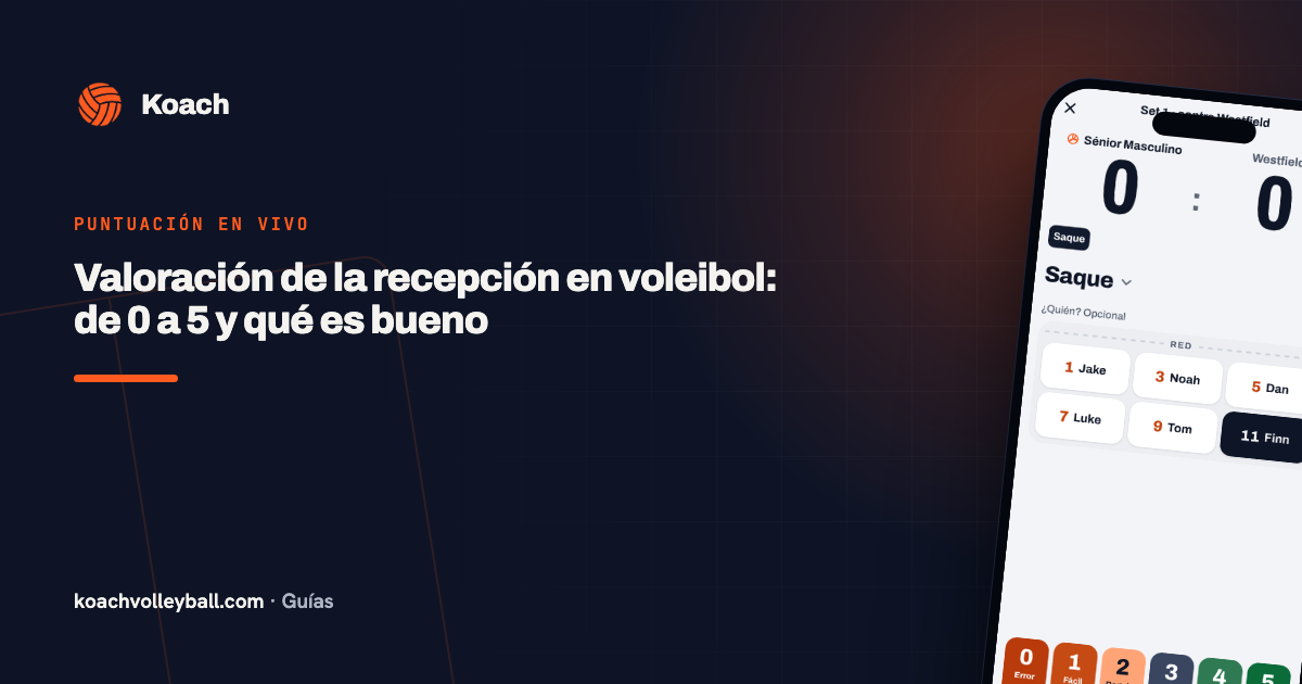 Valoración de la recepción en voleibol: de 0 a 5 y qué es bueno